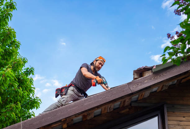 Best Roof Maintenance and Cleaning  in Sheffield, AL