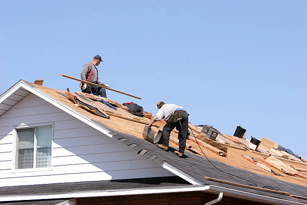 Best Skylight Installation and Repair  in Sheffield, AL
